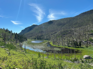 cub lake at rocky mountain national park