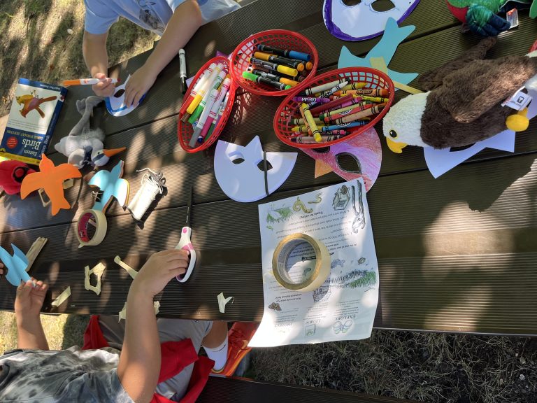 Coloring pencils, crayons, and bird crafting materials