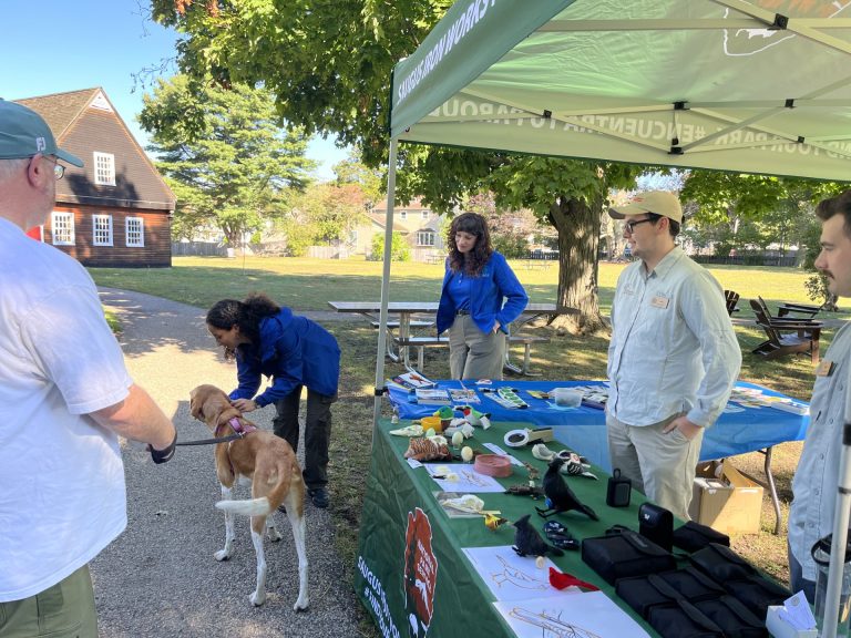LHIP intern petting a dog