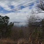 some nature i thinkl